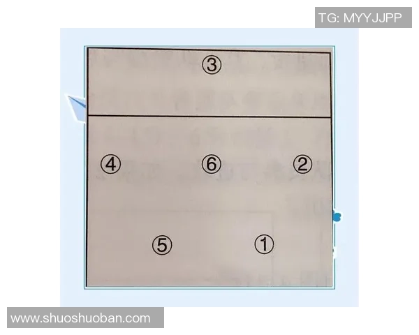 杭州排球队在奥运会上的节奏表现与战术分析探讨