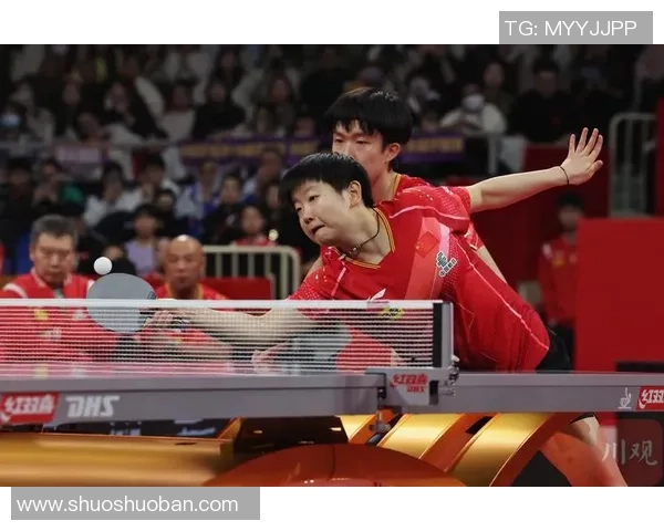 南京羽毛球队在世界杯中的耐力表现分析与启示